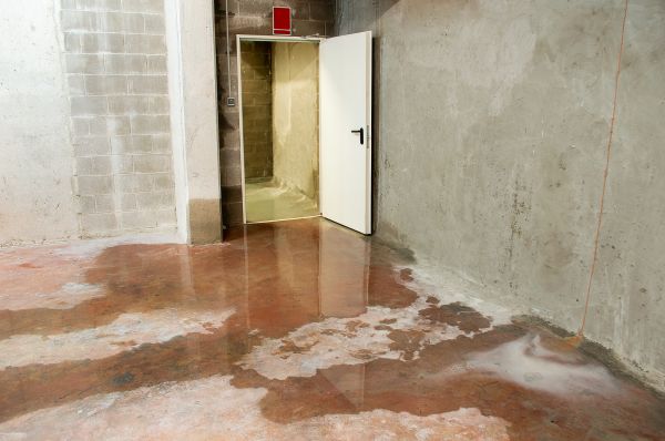Cost of Wet Basement Repair in Morrisville